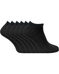Sock Snob - 100% Cotton Ankle Socks - Lyst
