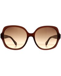Calvin Klein - Cat Eye Crystal Gradient Ck19538S - Lyst