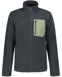 Icepeak - Maxwell Full-zip Fleece In Grijs - Lyst