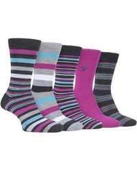 Farah - 5 Pack Natural Organic Bamboo Bright Striped Patterned Socks - Lyst