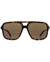 Dolce & Gabbana - Sunglasses Dg4354 502/73 Havana Gradient - Lyst