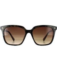 Ted Baker - Square Double Champagne Demi Gradient Tb1676 Ramona - Lyst