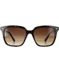 Ted Baker - Square Double Champagne Demi Gradient Tb1676 Ramona - Lyst