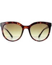 Calvin Klein - Cat Eye Shiny Havana Gradient Ck22552S - Lyst