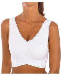 Intimidea - Bodyeffect Padded Push-Up Bra 110974 - Lyst