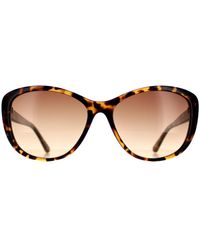 Calvin Klein - Cat Eye Tortoise Gradient Ck19560S - Lyst