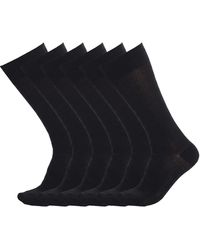 Pro Socks - 6 Pairs Executive Cotton High-Top Seamless S15100 - Lyst