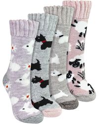 Sock Snob - 4 Pairs Ladies Thick Warm Bed Socks - Lyst