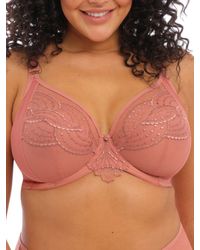 Elomi - Priya Plunge Bra - Lyst