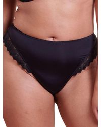 Curvy Kate - Wild One Brazilian - Lyst