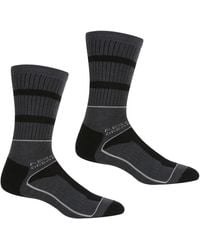 Regatta - Samaris 3 Season Socks (Pack Of 2) /Dark Steel) - Lyst