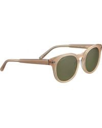 Serengeti - Ss574008-S 51 Havah Sunglasses - Lyst