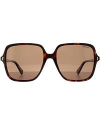 Polaroid - Square Damen Havanna Bronze Polarisiert Pld 6219/S - Lyst