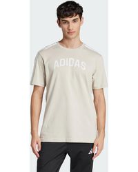 adidas - Codes Collegiate Linear Graphic Tee - Lyst