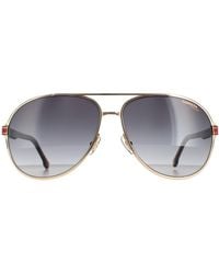 Carrera - Aviator Havanna Dunkelgrau Gradient 1051/S - Lyst