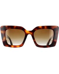 Burberry - Cat Eye Light Havana Gradient Polarized Be4344 Daisy - Lyst