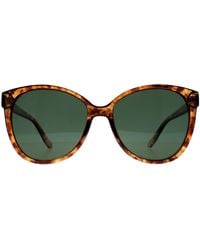 Montana - Cat Eye Shiny Havana Soft Demi G15 Polarized Mp74 - Lyst