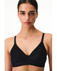 Penti - Lace Mama Floral Padded Bra - Lyst