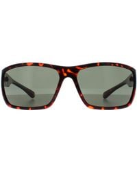 Smarty - Wrap Demi Tortoise X2135 - Lyst