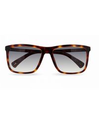 Ted Baker - Sunglasses Tb1663 Havna 122 Havana Gradient - Lyst