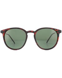 Montana - Sunglasses Mp33 D Turtle Rubbertouch G15 Polarized Metal - Lyst