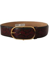 Dolce & Gabbana - Red Exotic Leather Gold Oval Buckle Belt - Lyst
