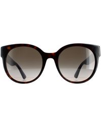 Gucci - Ladies Lightweight Cat Eye Havana With And Gradient Gg0035Sn Sunglasses - Lyst