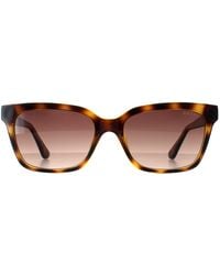 Guess - Gu7869 52f Donker Havana Bruin Gradiënt Zonnebril - Lyst
