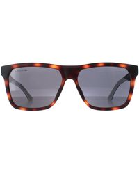 Lacoste - L972S 230 Zonnebril Mat Havana Grijs - Lyst