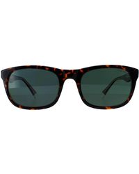 Polaroid - Rectangle Havana Polarized Pld 2104/S/X - Lyst