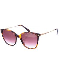 Longchamp - Lo660S Butterfly Shaped Acetate Sunglasses - Lyst