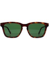 Lacoste - Square Tortoise L987S - Lyst