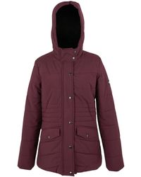 Regatta - Ladies Agara Padded Jacket (Fig/ - Lyst