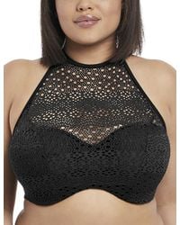 Elomi - 7537 Indie High Neck Bandeau Bikini Top - Lyst