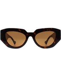 Gucci - Cat Eye Shiny Dark Havana Gg1421S - Lyst