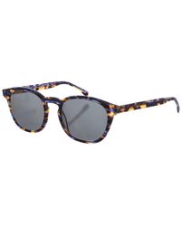 Zen - Z474 Square Shape Acetate Sunglasses - Lyst