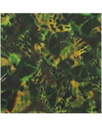 Bolongaro Trevor - Butterfly Silk Printed Scarf - Lyst