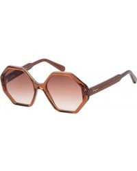 Ferragamo - Sf1070S-210 Sf1070S 55 210 Fashion Sunglasses - Lyst