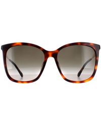 Jimmy Choo - Square Havana Gradient Nerea/G/S - Lyst