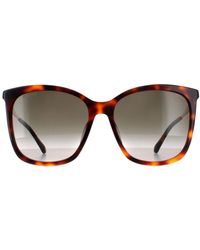 Jimmy Choo - Square Havana Gradient Nerea/G/S - Lyst