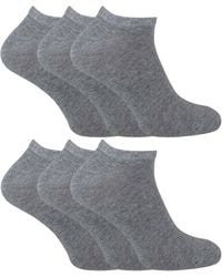 Sock Snob - 6 Pack Cotton Low Cut Quarter Gym Trainer Socks - Lyst