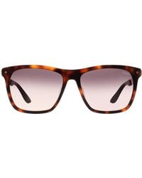 BMW - Square Blonde Havana Smoke Gradient Bw0002-H Sunglasses - Lyst