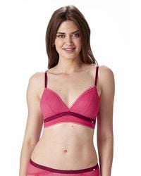 Pretty Polly - Delicate Lace Non Wired Bra - Lyst
