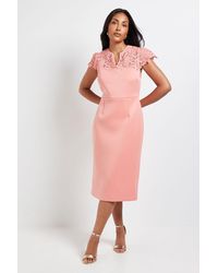 Wallis - Petite Scuba Lace Sleeve Pencil Dress - Lyst