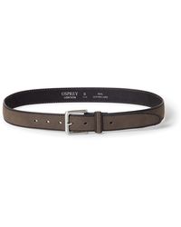 Osprey - Accessories Dickens Belt - Lyst