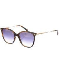 Longchamp - Lo660S Butterfly Shaped Acetate Sunglasses - Lyst