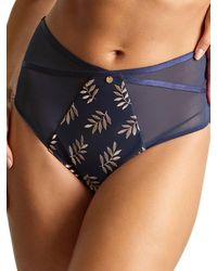 Panache - Tango Luxe Deep Brief - Lyst