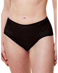 Triumph - 10215936 Signature Sheer Maxi Briefs - Lyst
