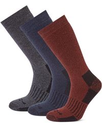 TOG24 - Villach 3 Pack Trek Socks Dark Marl/Port/Dark - Lyst