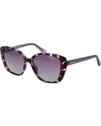 Skechers - Se6265 5655D 56 55D Sunglasses - Lyst